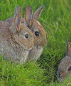 Three Bunnies Animals Diamond Painting