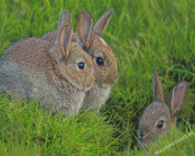 Three Bunnies Animals Diamond Painting