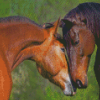 Two Brown Horses In Love Diamond Painting