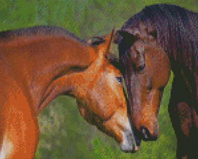 Two Brown Horses In Love Diamond Painting