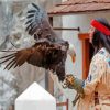 Winnetou Character With Eagle Diamond Painting