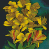 Yellow Alstroemeria Art Diamond Painting