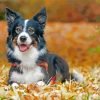 Border Collie Dog In Leaves Diamond Painting