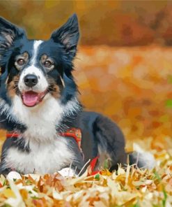 Border Collie Dog In Leaves Diamond Painting