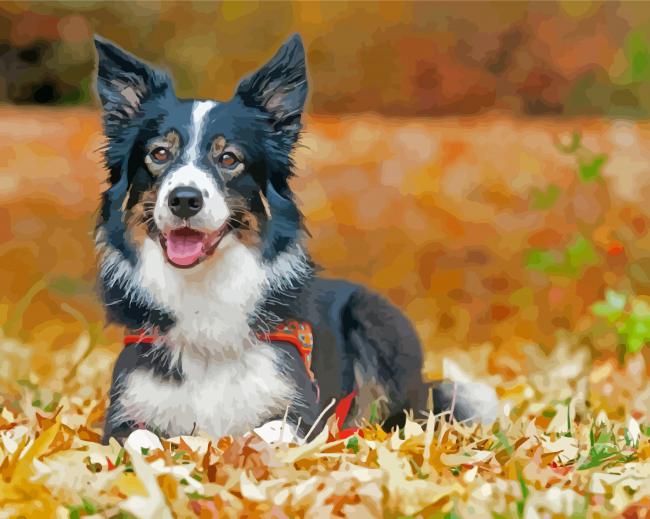 Border Collie Dog In Leaves Diamond Painting