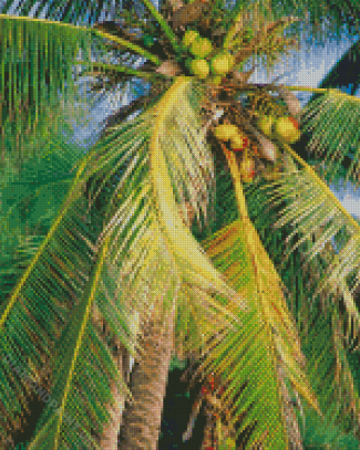 Coconut Tree Palm Diamond Painting