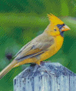 The Yellow Cardinal Bird Diamond Painting