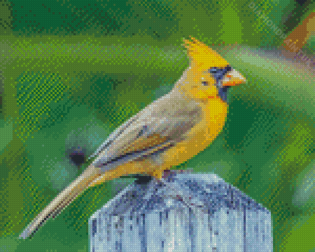 The Yellow Cardinal Bird Diamond Painting