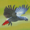 Cool African Gray Parrot Diamond Painting