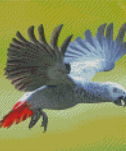 Cool African Gray Parrot Diamond Painting