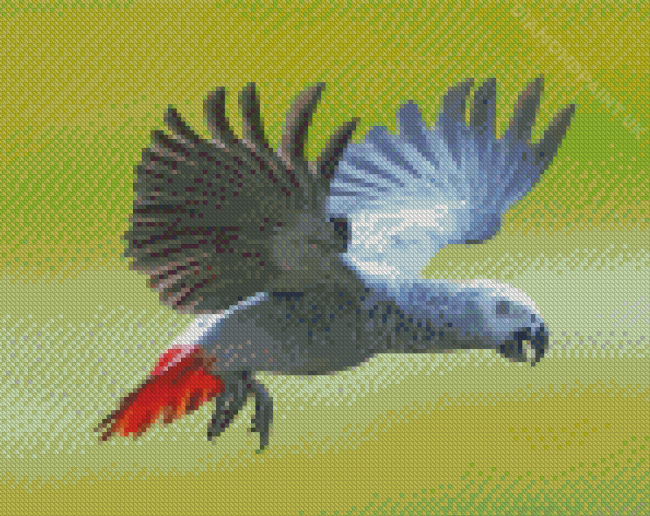 Cool African Gray Parrot Diamond Painting