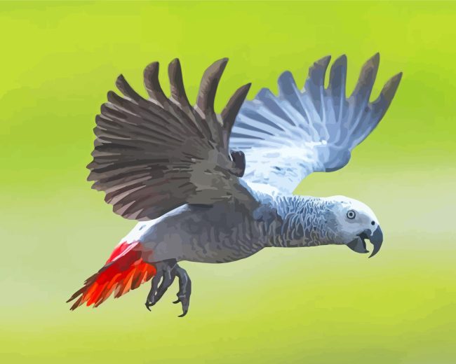 Cool African Gray Parrot Diamond Painting