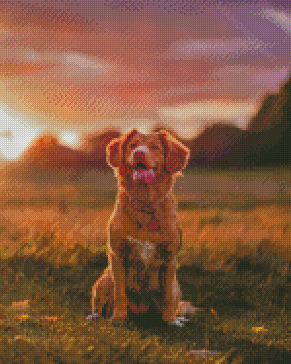 Duck Toller Brown Dog Diamond Painting