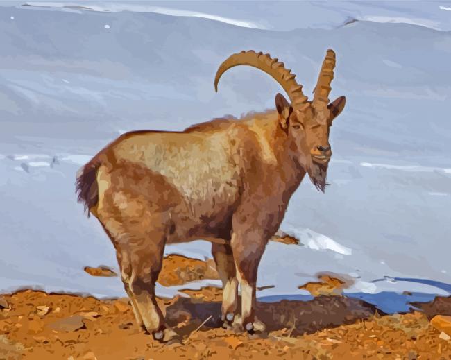 Ibex Animal Diamond Painting