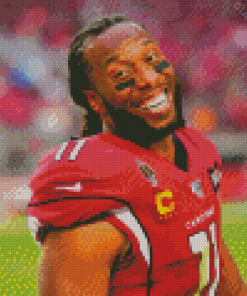 Larry Fitzgerald Diamond Painting