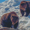 Mountain Bears Diamond Painting