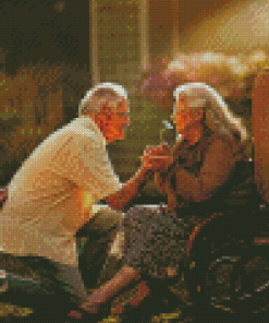 Old Couple In Love Diamond Painting