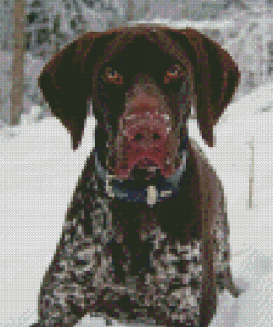 Pointing Dog In Snow Diamond Painting
