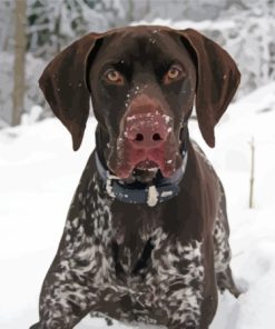 Pointing Dog In Snow Diamond Painting