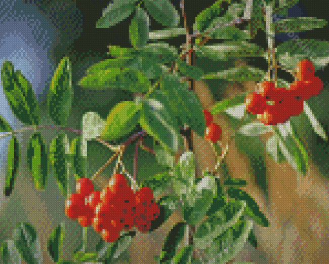 Rowan Berries Tree Diamond Painting