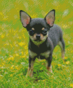 Small Chihuahua Diamond Painting