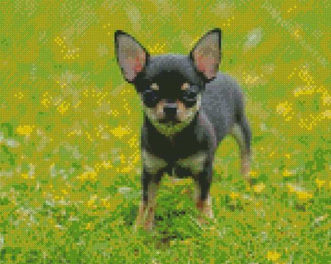 Small Chihuahua Diamond Painting