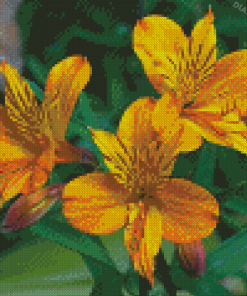 Yellow Alstroemeria Diamond Painting