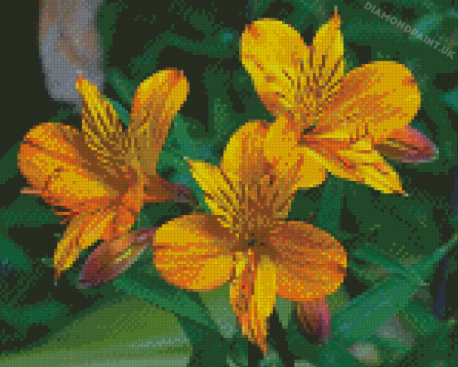 Yellow Alstroemeria Diamond Painting