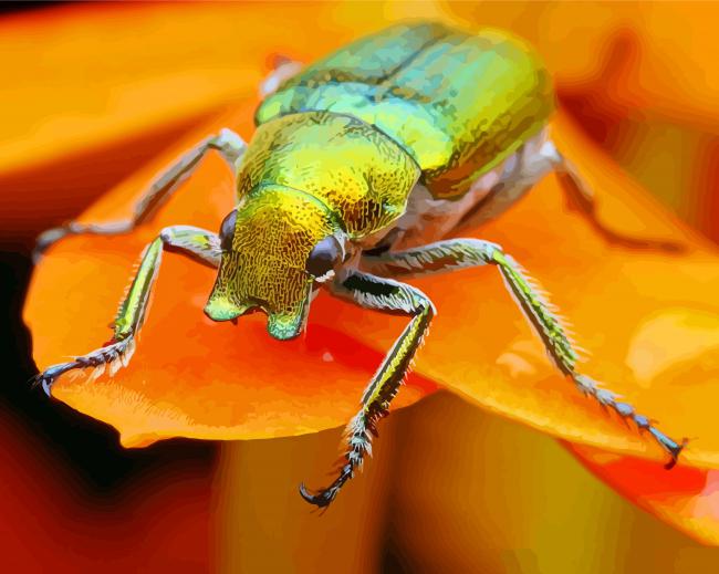 Christmas Beetle On Orange Flower Diamond Painting