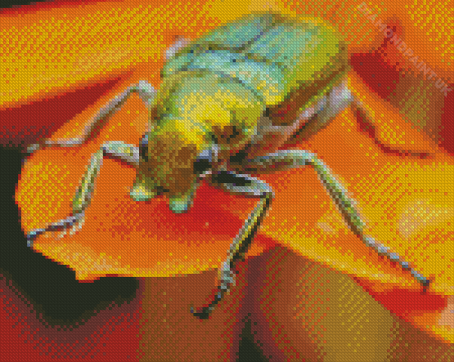 Christmas Beetle On Orange Flower Diamond Painting