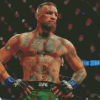 Conor McGregor Diamond Painting