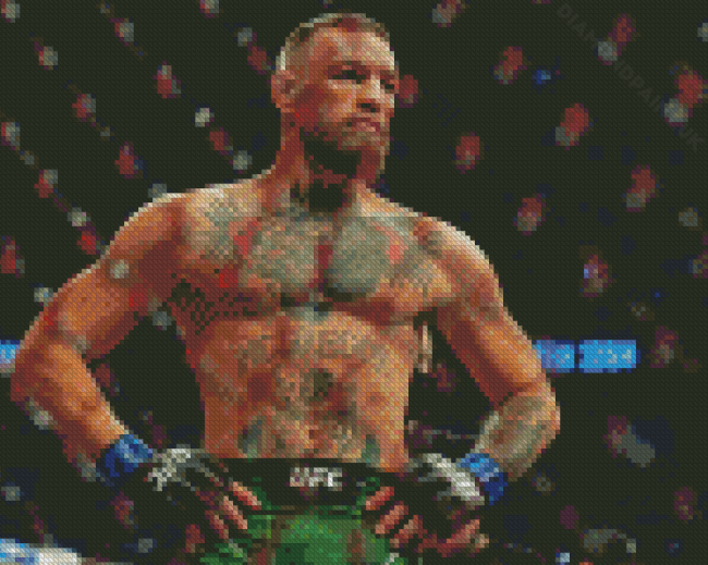 Conor McGregor Diamond Painting