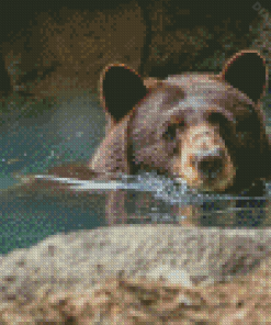 Cute Brown Bear In Water Diamond Painting