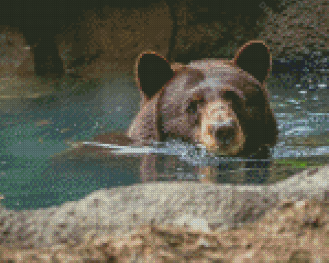 Cute Brown Bear In Water Diamond Painting