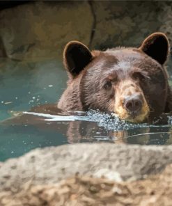 Cute Brown Bear In Water Diamond Painting