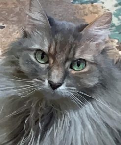 Cute Long Hair Grey Cat Diamond Painting