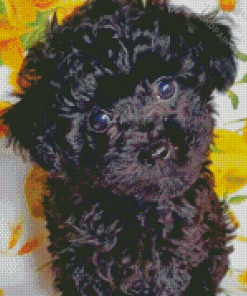 Cute Black Maltese Dog Puppy Diamond Painting