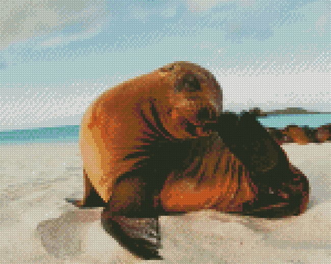 Cute Galapagos Sea Lion Diamond Painting