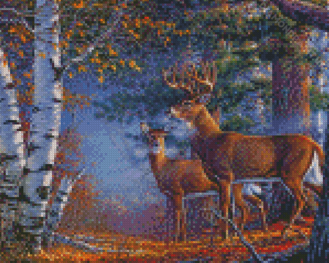 Deer Couple In Forest Diamond Painting