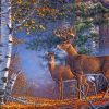 Deer Couple In Forest Diamond Painting