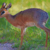 Dik Dik Animal Diamond Painting