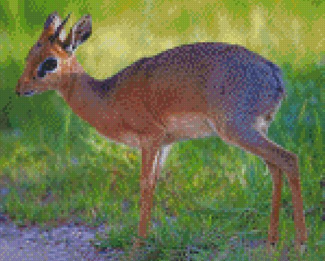 Dik Dik Animal Diamond Painting