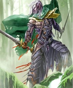 Drizzt Companions Of The Hall Character Diamond Painting