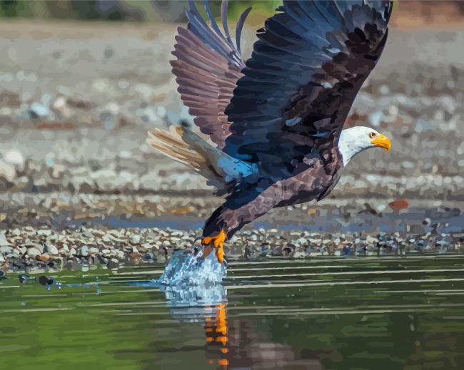 Eagle On The River Diamond Painting