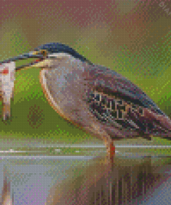 Heron Bird And Fish Diamond Painting