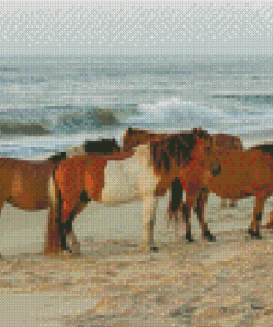 Horses In Assateague Island Diamond Painting