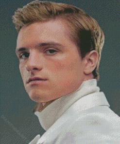 Peeta Mellark Diamond Painting