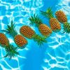 Pineapple Fruits In Pool Diamond Painting