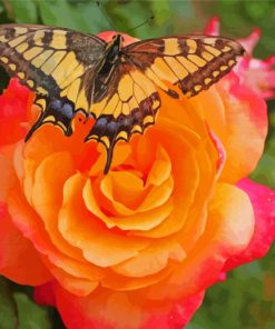 Rose With Butterfly Diamond Painting