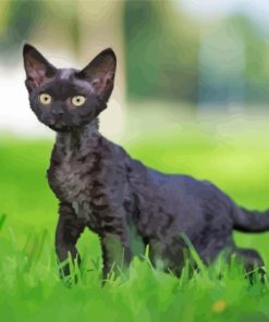 Skinny Black Cat Diamond Painting